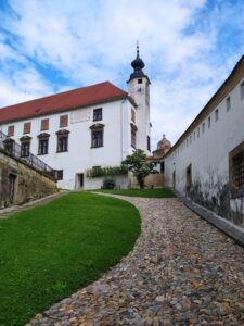 Zeleno dvorišče s kamnitim hodnikom in zgradbo, dostop otežen zaradi strmega klanca in grobega tlaka.